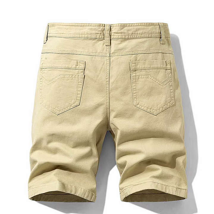 The Mason Shorts